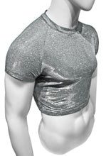 Load image into Gallery viewer, Side view of silver glitter crop tee