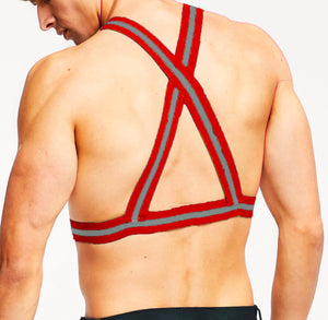 Reflective Elastic Harness - Red