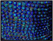 Load image into Gallery viewer, Close-up of blue rhinestone beads on a black background
