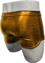 Load image into Gallery viewer, Mannequin wearing gold metallic trunks - back
