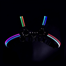 Load image into Gallery viewer, Black harness with colorful LED lights on a black background
