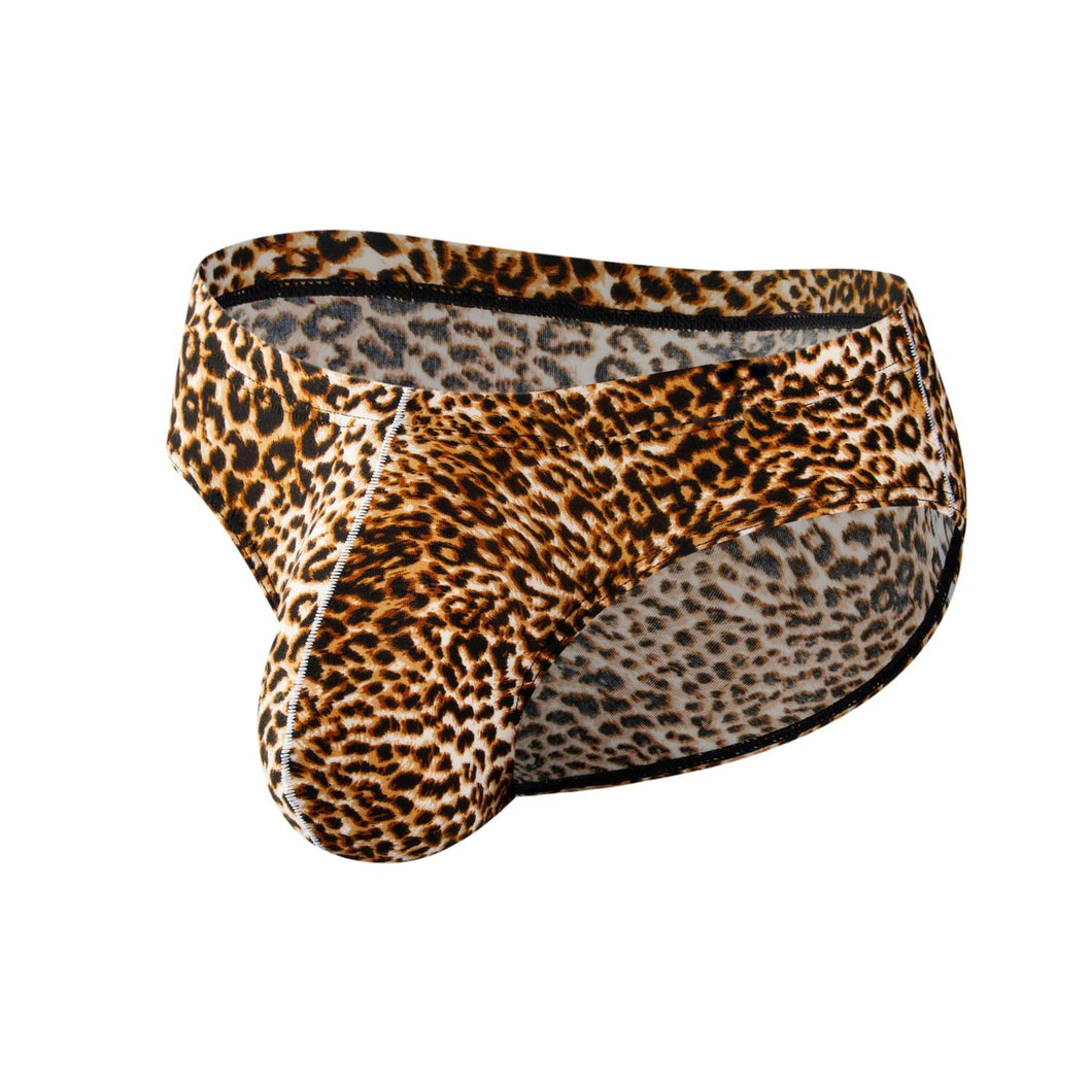 Leopard print brief underwear on a white background