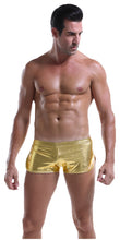 Load image into Gallery viewer, Solid Metallic Trunks - Gold
