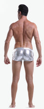 Load image into Gallery viewer, Solid Metallic Trunks - Silver
