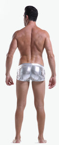 Solid Metallic Trunks - Silver