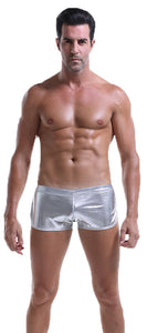 Solid Metallic Trunks - Silver