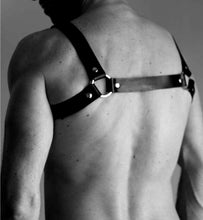 Load image into Gallery viewer, 4 Ring Bulldog Harness
