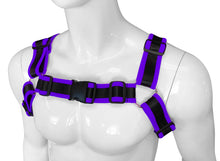 Load image into Gallery viewer, Buckle Harness - Black Purple

