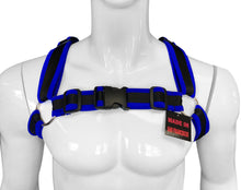 Load image into Gallery viewer, Buckle Harness-Black Blue
