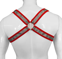 Load image into Gallery viewer, Buckle Harness-Silver Red
