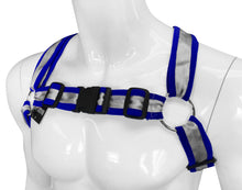 Load image into Gallery viewer, Buckle Harness-Silver Blue
