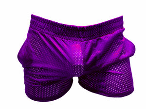 See Thru Short Shorts Sports Mesh Purple