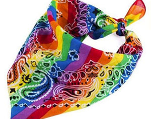 Rainbow Bandana-Rainbow Paisley