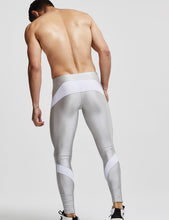 Load image into Gallery viewer, Panel Compression Tights - Silver
