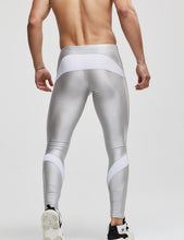 Load image into Gallery viewer, Panel Compression Tights - Silver
